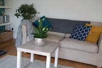 Samolepiaca fólia na nábytok d-c-fix Santana Oak Kalk – Dekoratívna fólia s imitáciou dreva, 67,5 x 200 cm 3