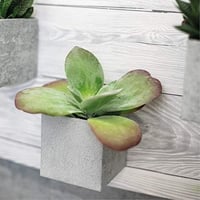 Samolepiaca nábytková fólia d-c-fix Shabby Wood – 90 cm x 2,1 m, dekoratívna lepiaca fólia s imitáciou dreva 6