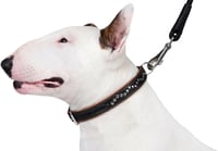 CollarDirect Kézzel Készített Valódi Bőr Kutyanyakörv - Puha Párnázott Barna Nyakörv Közepes Méretű Kutyáknak, Szegecsekkel Díszítve, 50-55  5