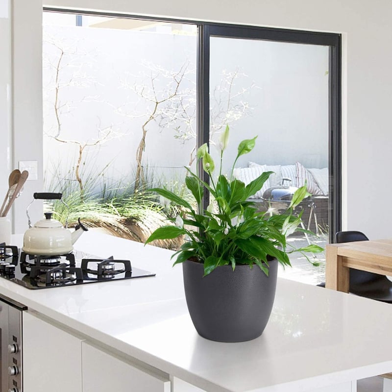 T4U 12 cm-es önöntöző virágcserép szett, 10 db fekete kaspó orchideákhoz, fűszernövényekhez