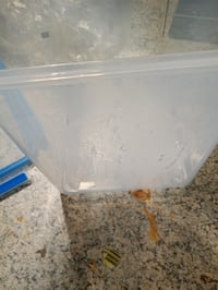 Recipient alimentar Emsa Clip & Close cu capac, 10,6 L, Transparent/Albastru, Etanș, Compatibil cu cuptorul cu microunde și mașina de spălat vase 3