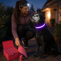 Esti kutyaséta mentőcsomag: tölthető LED nyakörv + fejlámpa + 600 db lebomló ürülékzacskó 1