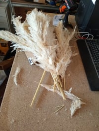 SHOKAN Pampová tráva XXL 100 cm, 10 ks sušených dekoratívnych tráv, prírodná nadýchaná pampas tráva, dekorácia do bytu a na svadbu v boho štýle 2