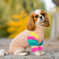 OUOBOB Kutyapulóver - Kistestű Kutyáknak, Garbónyakú Téli Pulcsi, Rózsaszín Kötött Ruházat Chihuahua és Más Fajtáknak, S Méret 6