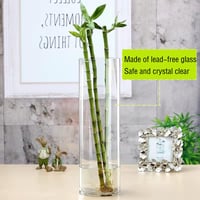 TSKDKIT 30 cm-es Hengeres Üvegváza - Átlátszó Vastag Üveg Virágváza Orchideákhoz, Rózsákhoz, Tulipánokhoz, Pampafűhöz - Asztali Dekoráció 4