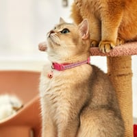 DAIHAQIKO Cica Nyakörv Csengővel és Kristályokkal - Kitten Macska Nyakörv Lányoknak 2