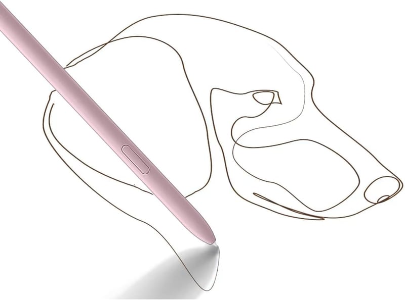 Dakexiong Galaxy Tab S6 Lite stylus toll csomag 2db Chiffon Rose