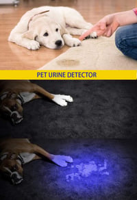 DARKBEAM UV Lámpa 365nm 395nm Ultraibolya LED Hordozható Detektáláshoz Kutyavizelés Banknóta Ellenőrzéshez 7