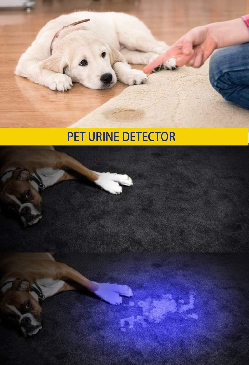DARKBEAM UV Lámpa 365nm 395nm Ultraibolya LED Hordozható Detektáláshoz Kutyavizelés Banknóta Ellenőrzéshez