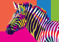 Zebra Számfestő Készlet Felnőtteknek - DIY Kreatív Hobbi Szett 1