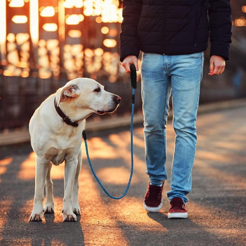 Kék Nylon Póráz 150cm, Párnázott Markolattal Sétához és Kiképzéshez