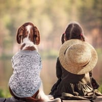 Szürke L-es Téli Kutyapulóver - Mosható, Divatos, Kis-Közepes Kutyáknak 3