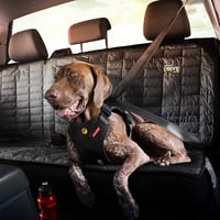 EzyDog autós biztonsági hámok kutyáknak - Ütközéstesztelt, fekete, M méret 9