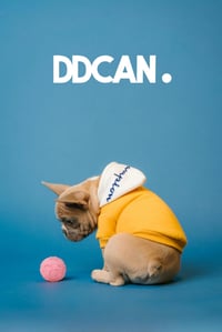 DDCAN 2 db 60 mm magasra pattogó strapabíró kutya macska labda csontmintával beltéri kültéri rózsaszín kék 7