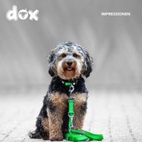 DDOXX Fényvisszaverő Kutyapóráz, Légáteresztő Hálós, 2m, 3-féle Állítható, Harapásálló, Zöld, M Méret, Minden Kutyamérethez 6