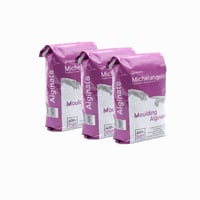 Algaplay Michelangelo odlievacia alginátová hmota – 4 x 450 g (1800 g) – biela odtlačková hmota na tvorbu odliatkov rúk — set 3 ks 1
