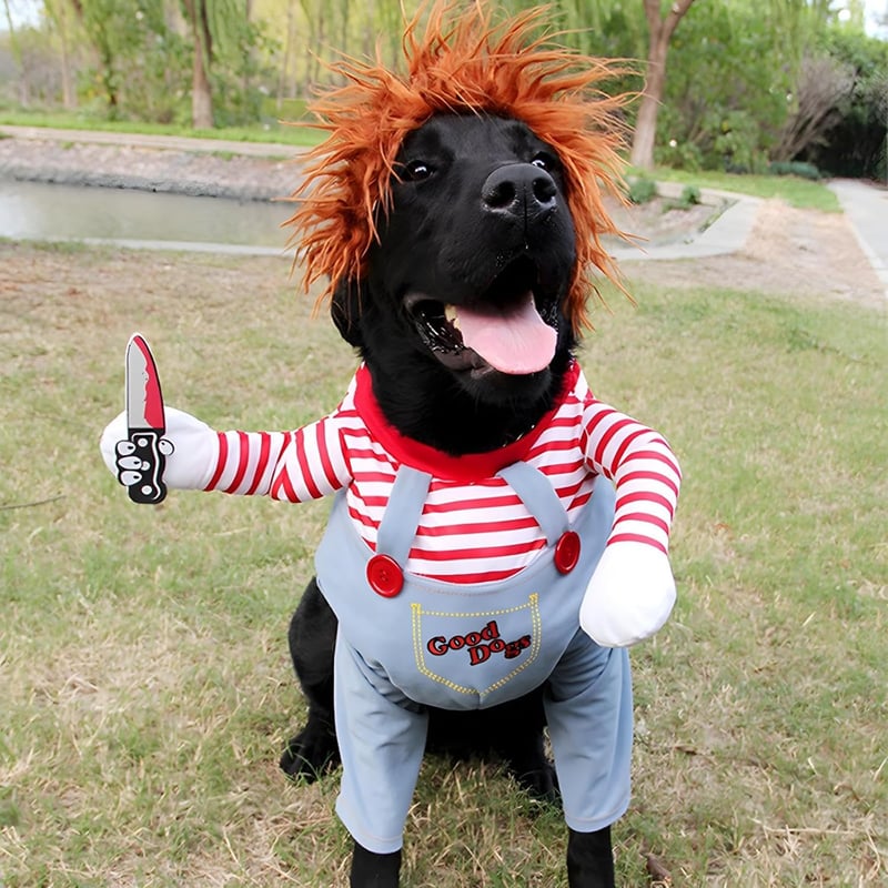 DELIFUR Chucky Jelmez Kutyáknak és Macskáknak - Vicces Halloween Kosztüm, Könnyű Parti Öltözék, L Méret, 15+ kg Háziállatoknak