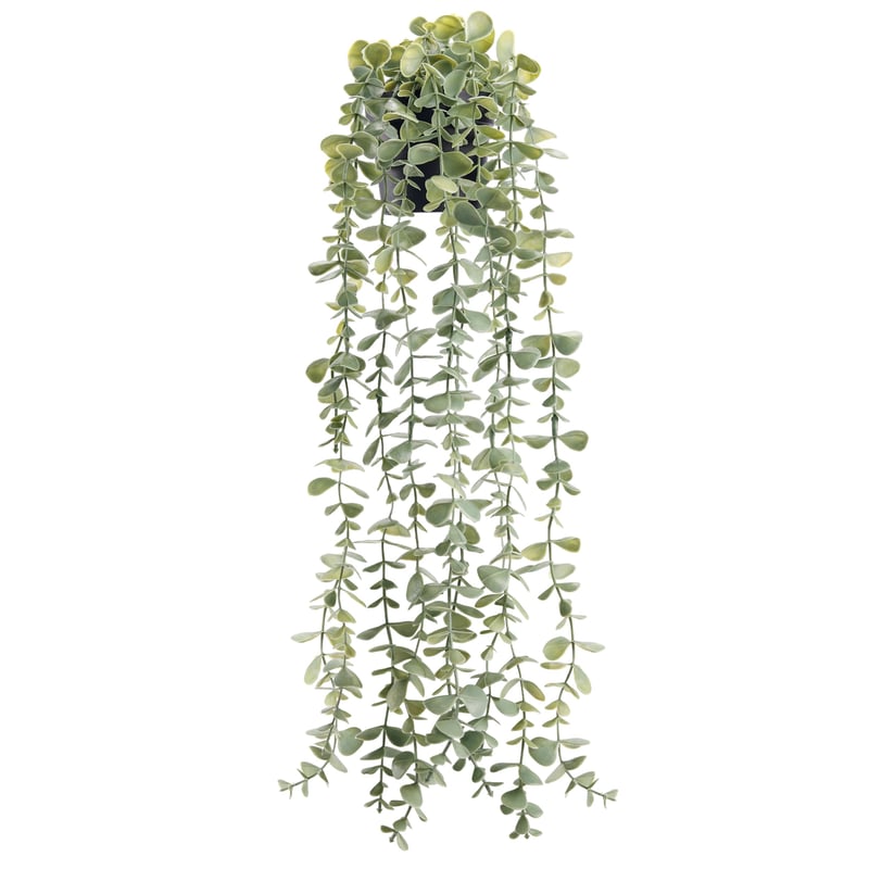 Plantă Artificială Der Rose Eucalipt în Ghiveci Negru Decor Boho pentru Sufragerie Plantă Decorativă pentru Casă