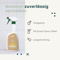 DFNT Hangyairtó Spray 500ml - Hosszantartó Rovarölő Szer Hangyák Ellen 2