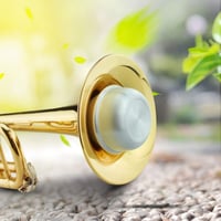 Sordină Dreaptă Dilwe pentru Trompetă, Aliaj de Aluminiu cu Plută, Accesoriu pentru Instrumente de Suflat, Argintiu 4