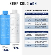 DISONCARE 60H Inzulin Hűtőtáska Hőmérséklet Kijelzővel - Hordozható Gyógyszerhűtő Táska 2-8°C, Utazáshoz, 2 Jégakkuval, Monstera Mintával 3