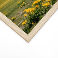Ditwis okvir za slike 40x50 cm, boje drva, okvir za postere i fotografije velikog formata, za vješanje na zid, za dnevni boravak, ured i galeriju 5