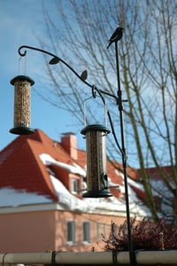 Dekoratívny zelený kovový balkónový držiak na lojové gule a kŕmidlá pre vtáky 3