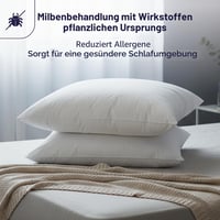 DODO 2 ks antialergický vankúš 60x60 cm, stredne tvrdý, 100% polyester, možno prať v práčke pri 40 °C, biely 5