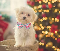 DOGWONG Piros Kutyanyakörv Masnival - Karácsonyi Szarvas Mintás Pamut Nyakörv Kicsi Közepes Nagy Kutyáknak 4