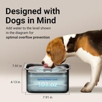 DownyPaws 3L rozsdamentes kutyavíztál csepegésmentes, spill-proof, mosogatógépben mosható 3