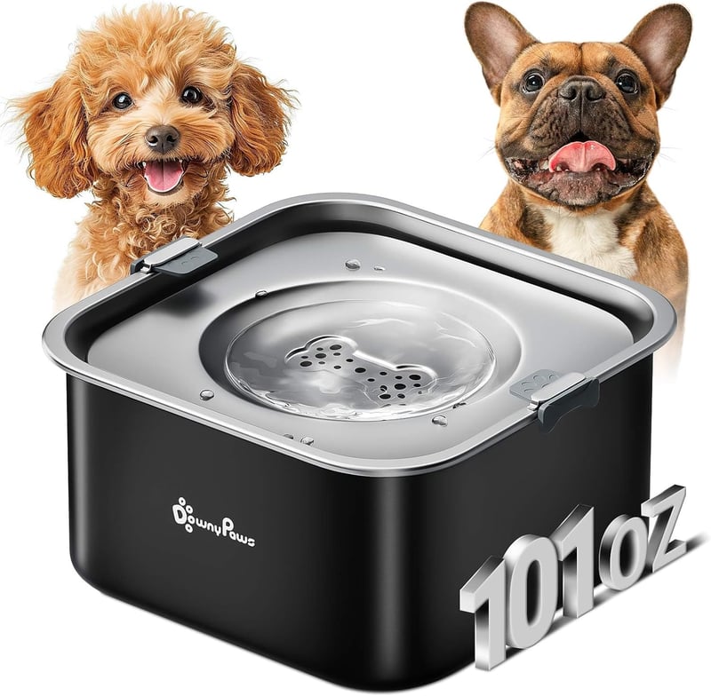 DownyPaws 3L rozsdamentes kutyavíztál csepegésmentes, spill-proof, mosogatógépben mosható