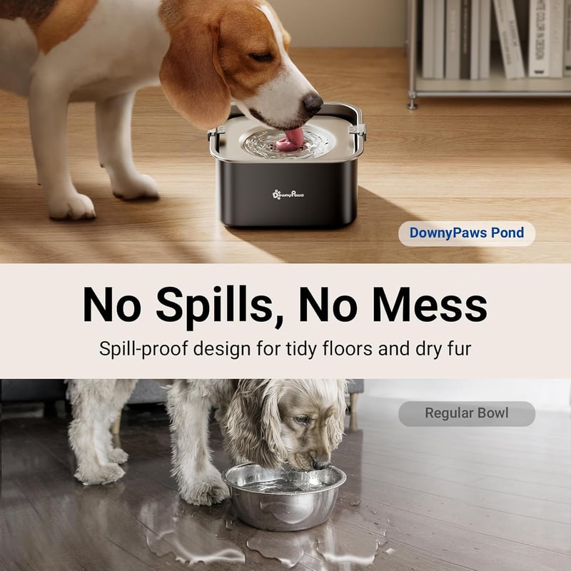 DownyPaws 3L rozsdamentes kutyavíztál csepegésmentes, spill-proof, mosogatógépben mosható