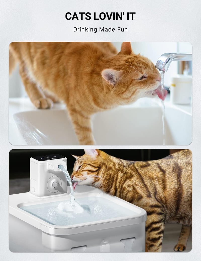DownyPaws Macska Ivókút Szűrő Csomag - 12 db-os Cserélhető Vízszűrő Betét Ivóállomáshoz - NSF Tanúsítvánnyal