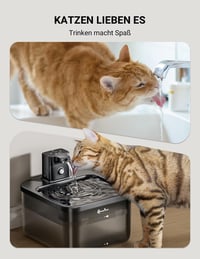 DownyPaws Vezeték nélküli macska ivófontána mozgásérzékelővel, 2.5L, akkumulátoros - ABS black 8