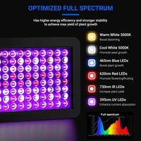 DragonLight BW2000 LED Növénylámpa Teljes Spektrumú UV-IR Fénnyel, Veg/Bloom Kapcsolóval, 3m Kábellel Szobanövényekhez, Zöldségekhez és Virá 2
