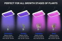DragonLight BW2000 LED Növénylámpa - Teljes Spektrumú UV-IR Fénnyel, Veg/Bloom Kapcsolóval, 3m Kábellel, Energiatakarékos, Üvegházakhoz és S 6