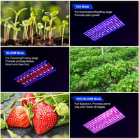 DragonLight BW2000 LED Növénylámpa Teljes Spektrumú UV-IR Fénnyel, Veg/Bloom Kapcsolóval, 3m Kábellel Szobanövényekhez, Zöldségekhez és Virá 3
