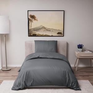 Dreamzie set posteljine od mikrovlakana - tamnosiva - 135x200 cm + 80x80 cm