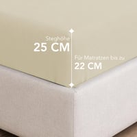 Napínacia plachta Dreamzie z džersejovej bavlny 140x200 cm, do výšky matraca 25 cm, s certifikátom Oeko-Tex, hypoalergénna, béžová 3