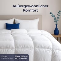 Dreamzie Paplan 200x220 cm Lúd Toll Töltet 450 gsm Gépelhető 2