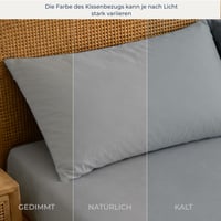 Dreamzie jastučnice 80x80 cm, set od 2 komada, jastučnice od mikrovlakana s patentnim zatvaračem, Oeko-Tex certificirane, sive 6