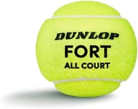 Dunlop Fort All Court TS teniszlabda - 4 db 7