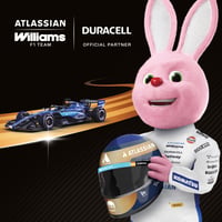 Alkalické batérie Duracell Plus AAA 12 ks – 1,5V LR03 MN2400 – 10-ročná životnosť – Dlhotrvajúci výkon pre každodenné zariadenia 4