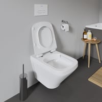 WC sedadlo Duravit DuraStyle s mechanizmom pozvoľného sklápania, pántmi z nehrdzavejúcej ocele, z duroplastu, biele 3