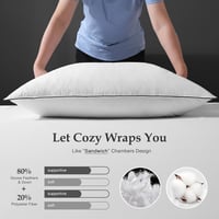 DWR Lux Pehelypárna 40x80 cm, 2 db, Libatoll Töltés, Bio Pamut Huzat 5