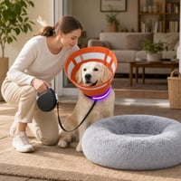 Pachet Recuperare Câini: 1x Guler L + 1x Zgardă LED L + 1x Lesă 8m + 1x Pat Donut 80cm 1