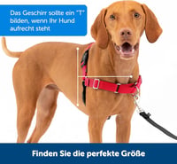 PetSafe Easy Walk Fekete Hámok Kutyáknak - Húzásgátló, Fojtásmentes S Méret + 1,8m Póráz 5