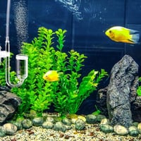 Nano CO2 Diffúzor U-alakú Üveggel és Szívókupakkal Akváriumhoz 7