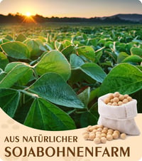 BOYUJK Prémium Bio Szójagyertya Viasz 5kg - 100% Természetes, Adalékmentes 3