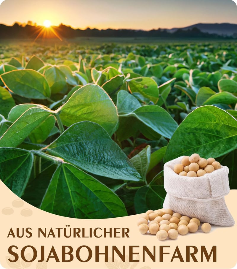 BOYUJK Prémium Bio Szójagyertya Viasz 5kg - 100% Természetes, Adalékmentes